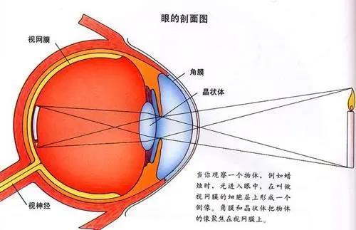 微信图片_20210731145417.jpg