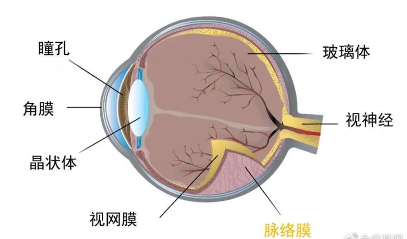 微信图片_20210731161452.jpg